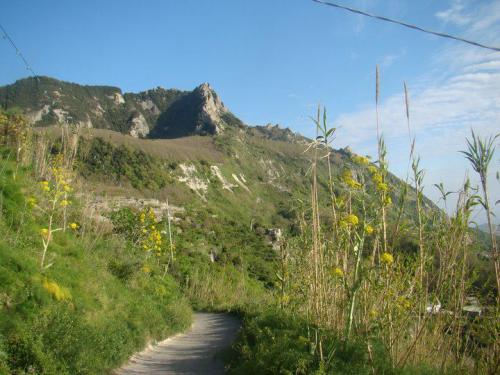 Ischia Bilder