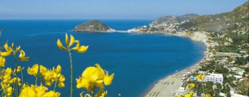Ischia Bilder